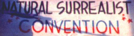 National Surrealist Convention